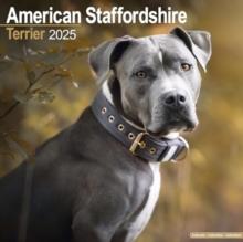 American Staffordshire Terrier Calendar 2025 Square Dog Breed Wall Calendar - 16 Month