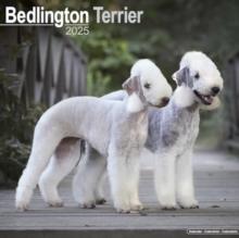 Bedlington Terrier Calendar 2025 Square Dog Breed Wall Calendar - 16 Month