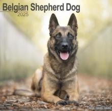 Belgian Shepherd Dog Calendar 2025 Square Dog Breed Wall Calendar - 16 Month