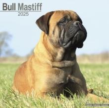 Bull Mastiff Calendar 2025 Square Dog Breed Wall Calendar - 16 Month