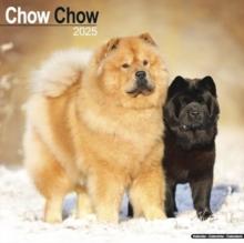 Chow Chow Calendar 2025 Square Dog Breed Wall Calendar - 16 Month