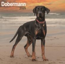 Doberman Square Wall Calendar 2025