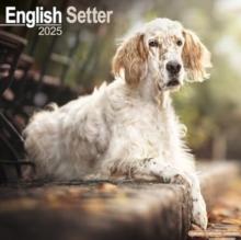 English Setter Calendar 2025 Square Dog Breed Wall Calendar - 16 Month