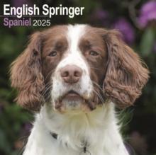 English Springer Spaniel Square Wall Calendar 2025