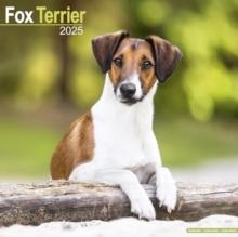 Fox Terrier Calendar 2025 Square Dog Breed Wall Calendar - 16 Month