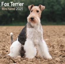 Fox Terrier Wirehaired Calendar 2025 Square Dog Breed Wall Calendar - 16 Month