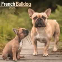 French Bulldog Calendar 2025 Square Dog Breed Wall Calendar - 16 Month