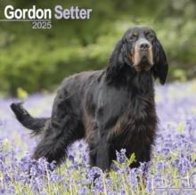 Gordon Setter Calendar 2025 Square Dog Breed Wall Calendar - 16 Month