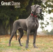 Great Dane Square Wall Calendar 2025