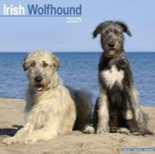 Irish Wolfhound Calendar 2025 Square Dog Breed Wall Calendar - 16 Month