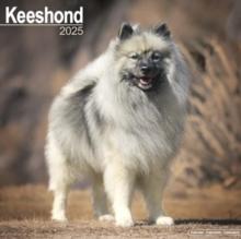 Keeshond Calendar 2025  Square Dog Breed Wall Calendar - 16 Month