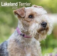 Lakeland Terrier Calendar 2025  Square Dog Breed Wall Calendar - 16 Month