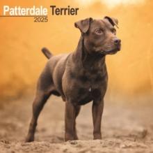 Patterdale Terrier Square Wall Calendar 2025