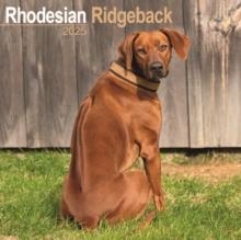 Rhodesian Ridgeback Calendar 2025 Square Dog Breed Wall Calendar - 16 Month