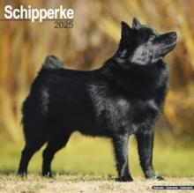 Schipperke Calendar 2025 Square Dog Breed Wall Calendar - 16 Month