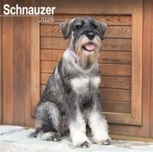 Schnauzer Square Wall Calendar 2025