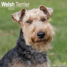 Welsh Terrier Calendar 2025 Square Dog Breed Wall Calendar - 16 Month