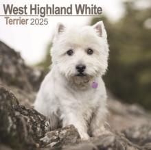 West Highland White Terrier Square Wall Calendar 2025