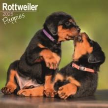 Rottweiler Puppies Calendar 2025 Square Dog Puppy Breed Wall Calendar - 16 Month