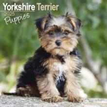 Yorkshire Terrier Puppies Calendar 2025 Square Dog Puppy Breed Wall Calendar - 16 Month