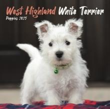 West Highland White Terrier Puppies Square Mini Calendar 2025