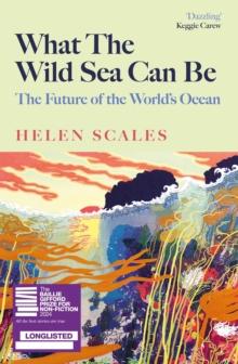 What the Wild Sea Can Be : The Future of the World's Ocean