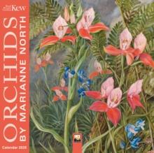 Kew Gardens: Orchids by Marianne North Mini Wall Calendar 2025 (Art Calendar)