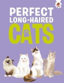 Perfect Long-Haired Cats