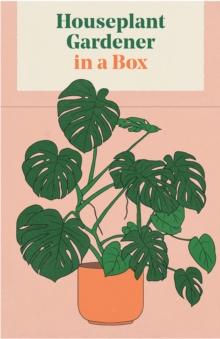 Houseplant Gardener in a Box