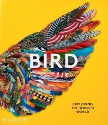 Bird : Exploring the Winged World