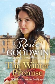 The Winter Promise : A perfect cosy Victorian saga from the Sunday Times bestselling author