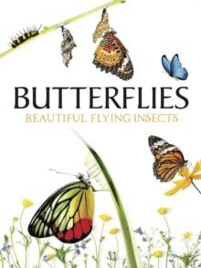 Butterflies : Beautiful Flying Insects