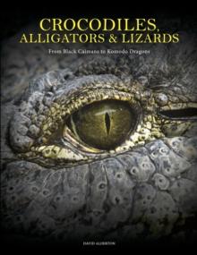 Crocodiles, Alligators & Lizards : From Black Caimans to Komodo Dragons