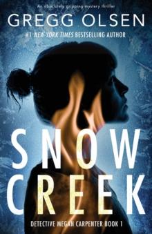 Snow Creek : An absolutely gripping mystery thriller