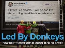 Led by Donkeys : How four friends with a ladder took on Brexit