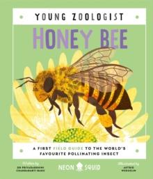 Honey Bee (Young Zoologist) : A First Field Guide to the Worlds Favourite Pollinating Insect