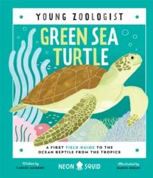 Green Sea Turtle (Young Zoologist) : A First Field Guide to the Ocean Reptile from the Tropics