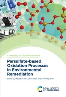 Persulfate-based Oxidation Processes in Environmental Remediation