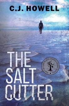 The Salt Cutter