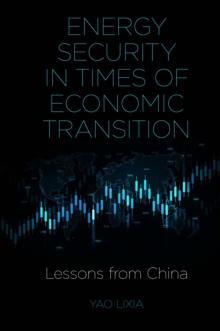 Energy Security in Times of Economic Transition : Lessons from China