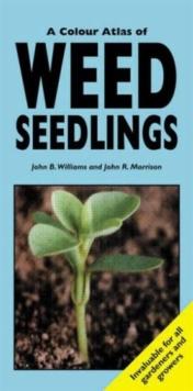 A Colour Atlas of Weed Seedlings