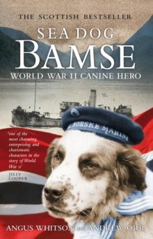 Sea Dog Bamse : World War II Canine Hero