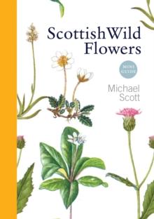 Scottish Wild Flowers : Mini Guide