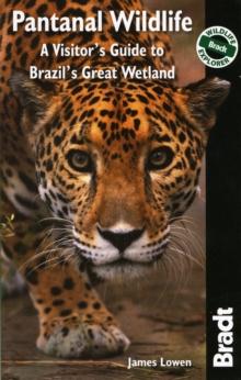 Pantanal Wildlife : A Visitor's Guide to Brazil's Great Wetland