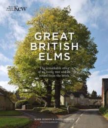 Great British Elms : The remarkable story of an iconic tree and its return from the brink