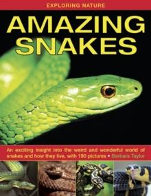 Exploring Nature: Amazing Snakes : an Exciting Insight into the Weird and Wonderful World of Snakes and How They Live, with 190 Pictures