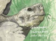 Galapagos Sketchbook