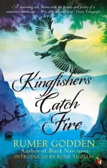 Kingfishers Catch Fire : A Virago Modern Classic