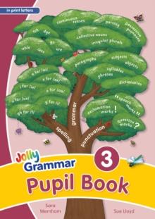 Grammar 3 Pupil Book : In Print Letters (British English edition)