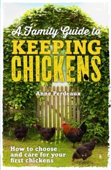 A Family Guide To Keeping Chickens : How to choose and care for your first chickens